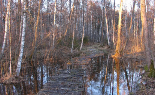 20_Spigino takas (1).jpg